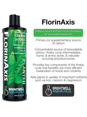 BRIGHTWELL Florin Axis Karbon Kaynağı 250 ml